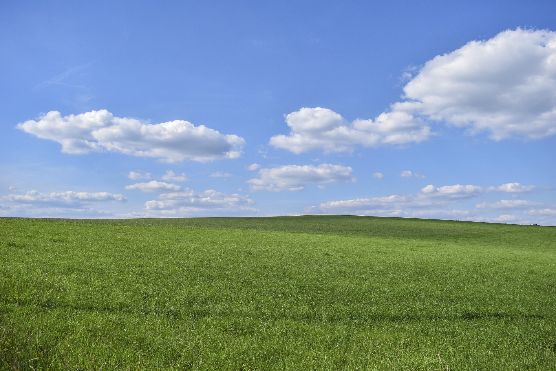 Open fields representing endless possibilities